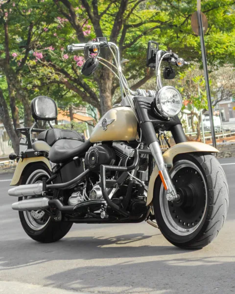HARLEY-DAVIDSON FAT BOY LOW/ SPECIAL FLSTFB
