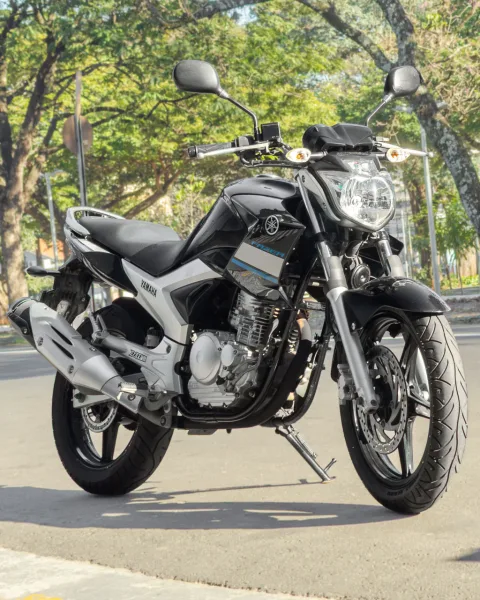 YAMAHA YS 250 FAZER/ FAZER L. EDITION /BLUEFLEX
